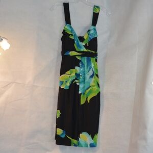 Printed Summer Dress Sz 6 by Roulette NWT